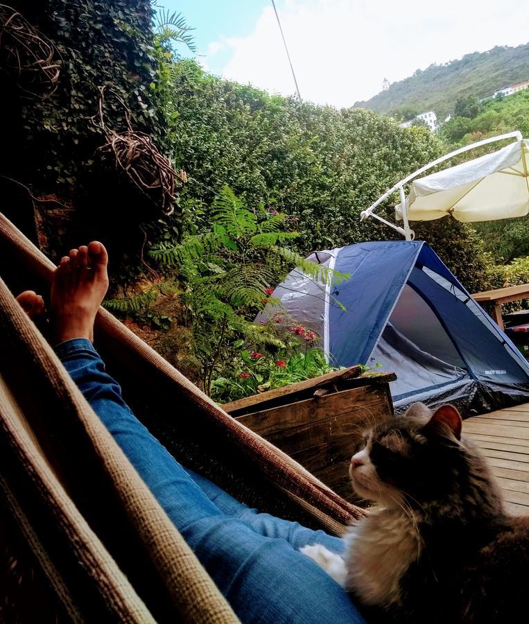 Trilhas De Minas Hostel Estamos Atendendo Em Um Novo Endereco!!! Confira Nossa Nova Pagina! Ouro Preto  Dış mekan fotoğraf